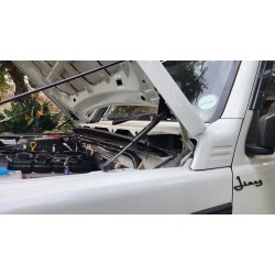 Bonnet Gas Struts - Gen4 Bonnet Gas Struts - Gen4